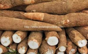 Quality Automatic Cassava Flour Production Line for Sale wholesale