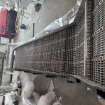 Inclined Belt Conveyor for Fruit Processing Line