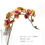 Long Lasting Colorful Artificial Flower Branch Phalaenopsis Aphrodite 83 Cm