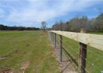 Protection Electro Galvanized Steel Cattle Fence , Deer / Grassland Wire Fence
