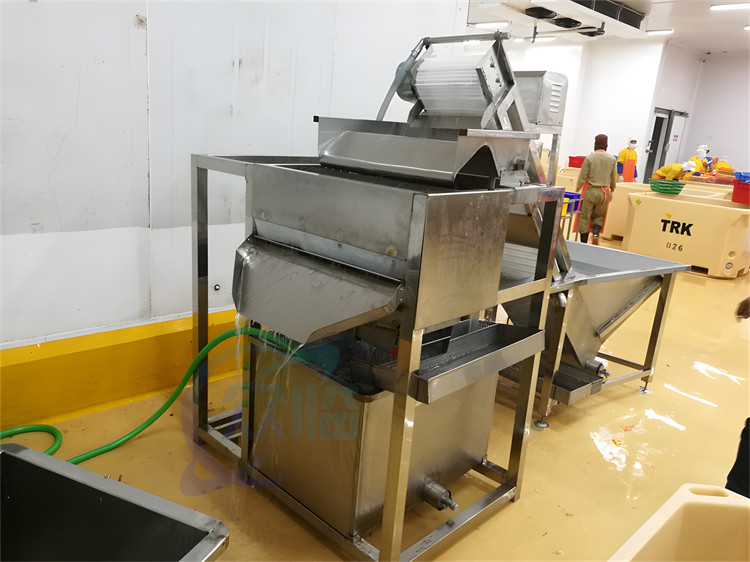 Automatic Shrimp Cleaning Machine 1.5KW Stable Large Capacity