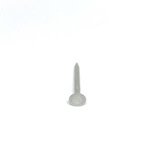 Quality 2.8X30MM Flat Head A2 Stainless Steel Nails With Smooth Shank wholesale