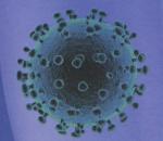 Rapid Diagnostic Covid-19 Antigen Rapid Test Kit Disposable Oral Saliva