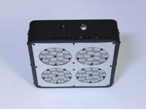 Quality Full spectrum 150w led greenhouse grow lights,cidly led grow light 60*3W for grow and flow wholesale
