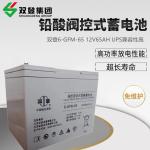 Shoto/6-GFM-65 Lead Acid Battery 12V65AH for Communication and Solar Energy