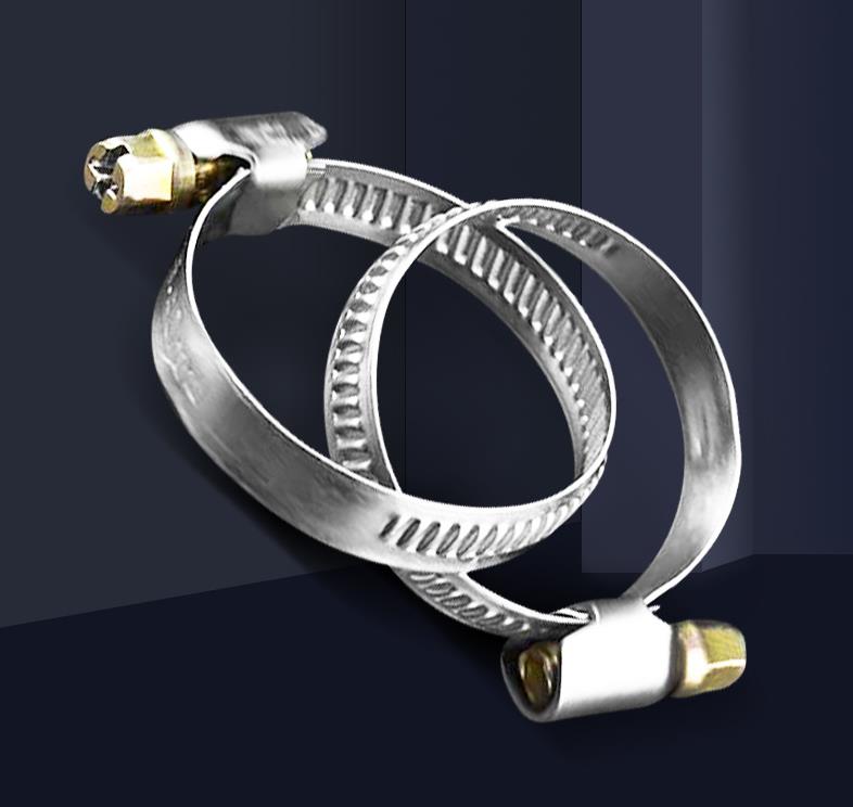 ODM Support Metric Measurement DIN Standard Heavy Duty 304 Stainless Steel Hose Clamp for Customized Size German Type Hydraulic