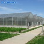 Commercial Polycarbonate Sheet Greenhouse / PC Sheet Greenhouse Customized