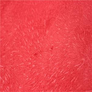 Quality Flock Burnout Textile Upholstery Fabrics Tear - Resistant 250gsm~350gsm wholesale