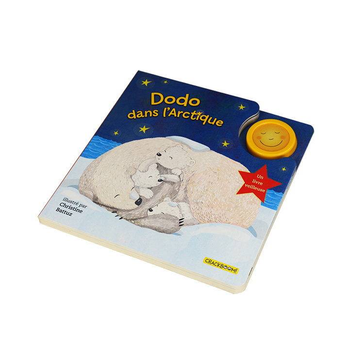 C1S Art Paper Photo Board Book Printing , Hardcover Lift Flap Books