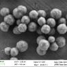 Buy cheap Silica Magnetic Beads Carboxylic For DNA Extraction PC 300nm 50 mg / mL 100 mL from wholesalers