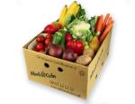 Cardboard Paper Tomato Carton Box For Fruit Packaging