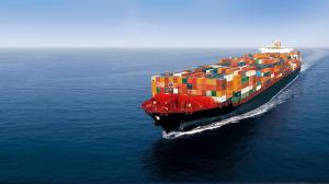 Quality China To Sdyney Australia Amazon DDP Sea Shipping wholesale