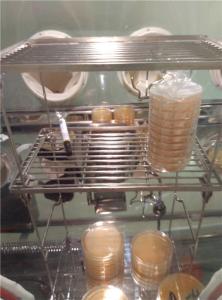 Quality Laminar Flow Ss304 Pharmaceutical Sterility Test Isolator wholesale