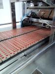 Gelatin jelly candy making machine/production line