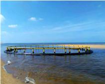Quality Anti Windstorm PE100 Tilapia Fish Farming Equipment wholesale