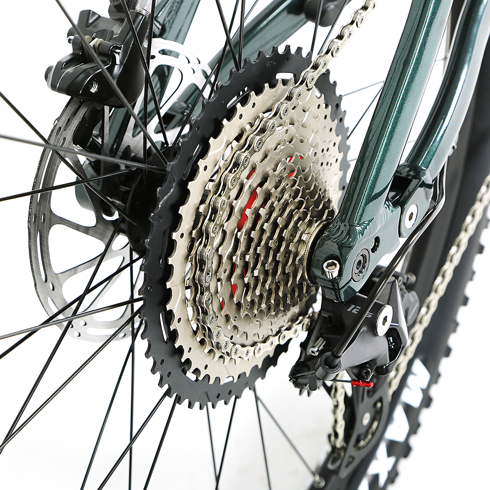 48V Mid Drive Carbon Fiber Thru-Axle Boost Frame Inner Cables Electric Bicycle EM6 Ebike