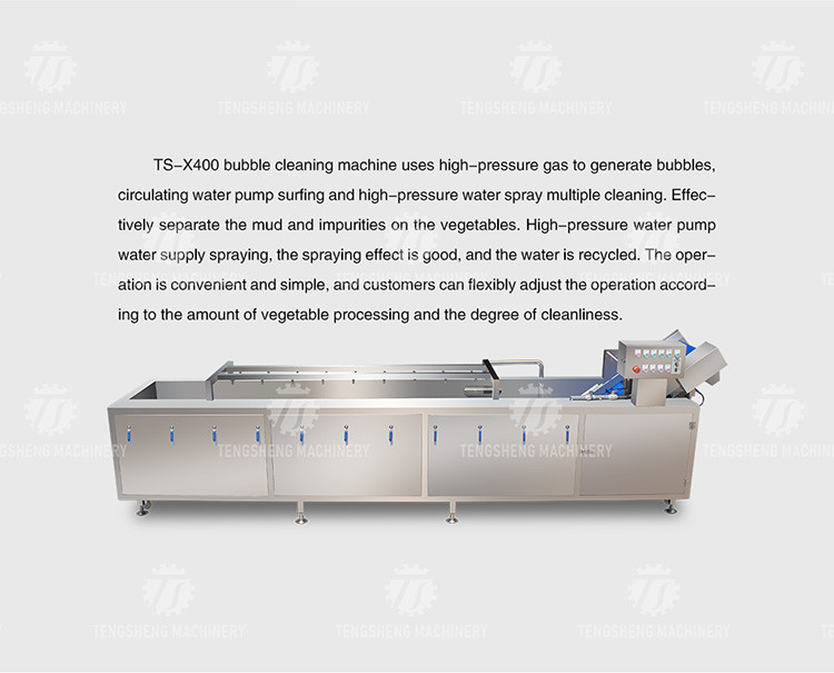 SS Fruit Bubble Washing Machine Commercial Vegetable Cleaning Equipment