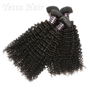 Quality Wet And Wavy 100 Indian Human Hair Weave With Unprocessed Natural Curly wholesale