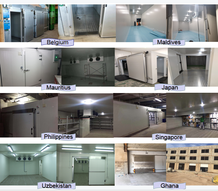 Customized Cold Storage Room Chiller Freezer Room With Condensing Unit Compressor