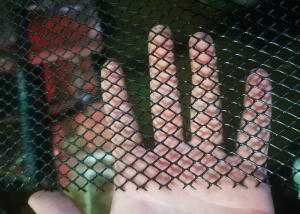 Black Colour Plastic Netting Mesh 20mmx20mm Hole Extruded
