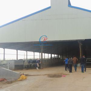 Quality Natural Ventilation Steel Structure Cow Shed Comfortable Steel Structure Livestock Shed wholesale