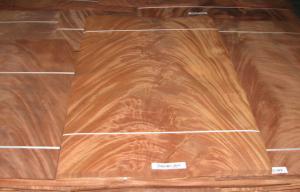 Quality Dard Red Crown Cut Veneer Mohagany Crotch , Natural Wood Veneer wholesale