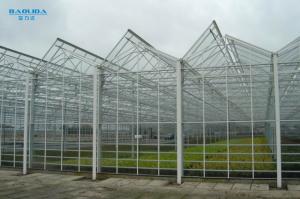 Quality Plants Air Conditioner Large Glass Greenhouse Customized Outdoor Auto Control wholesale