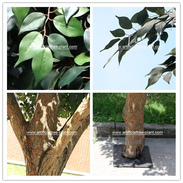 Environment Flexible Artificial Ficus Tree For School Decoration / Fake Ficus Plant