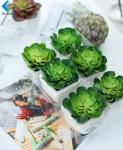 Home Decor Fake Potted Cactus , 11cm Artificial Succulent Plants Durable
