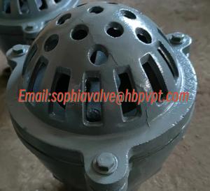 Quality BS21 PN10 cast iron threaded foot valve wholesale