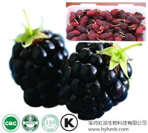 Quality High quality organic dried Mulberry Fruit Extract powder wholesale