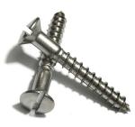 SS304 Stainless Steel Cross Head Screw DIN95 Slotted Furniture Wood Screw