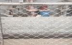 Stainless Steel Framed X Tend Cable Mesh Fence 2.0mm Rope Wire Mesh