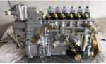 Original Brand new Truck Spare Parts 612601080175 Weichai Wd615.50 Fuel Injector