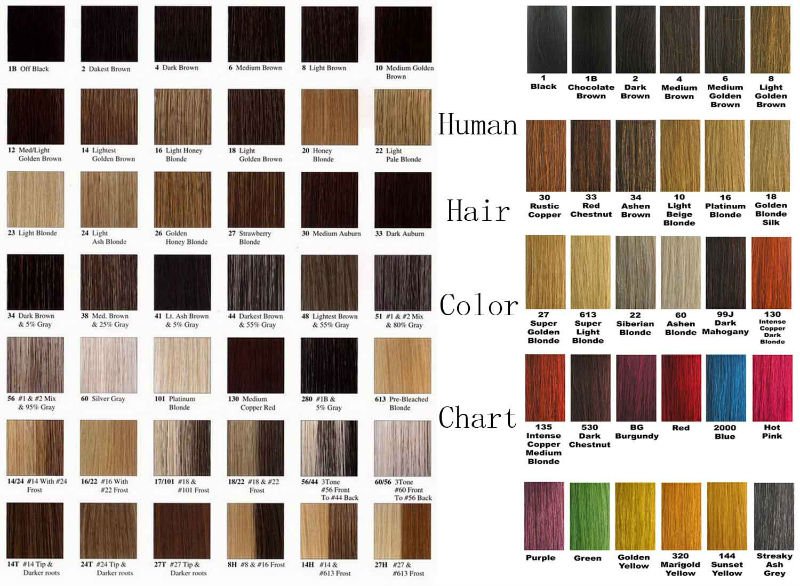 100% human hair Virgin Malaysian Hair Yaki Texture