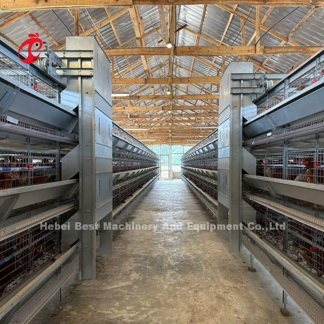 White Feeder Trough Chicken Cage Hot Dipped Galvanized Automatic Battery Cage For 34000 Birds Layer Farm Doris