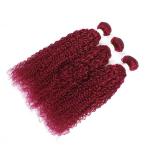 Burgundy Kinky Curly Remy Human Hair Bundles Sew In Weave Bundles Brazilian