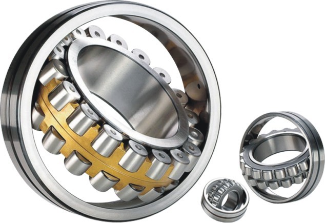 SL185013 Double Row Full Complement Roller Bearing