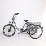 Adult 3 Wheel Electric Tricycle 48V 250W Motor Three Wheel Electric Cargo Bike