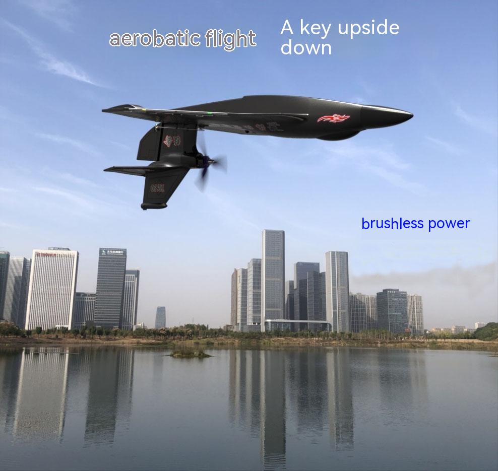 Electric Power Raptor H650 Long Range 2.4g Proportional Sea Land Air Led Aerobatics Stunt RC Glider with 6 Channels Control