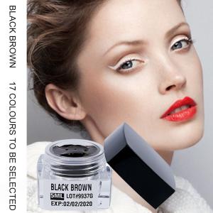 Quality Micropigmentation Black Brown Semi Permanent Makeup Pigments for Manual Eyebrow Tattoo wholesale