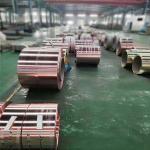 C1100 C1200 C1020 C5191 Copper Products For Electrical Industry