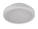 Changeable Warm White IP67 20W Circular Ceiling Light