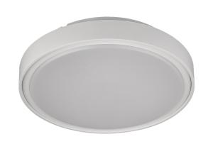 Quality Changeable Warm White IP67 20W Circular Ceiling Light wholesale