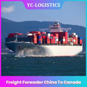 Quality DDP DDU Amazon FBA Freight Forwarder China wholesale