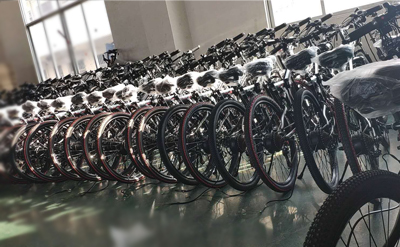 Aluminum Alloy Folding Electric E Bike Wear Resistant Steel Suspension Frame