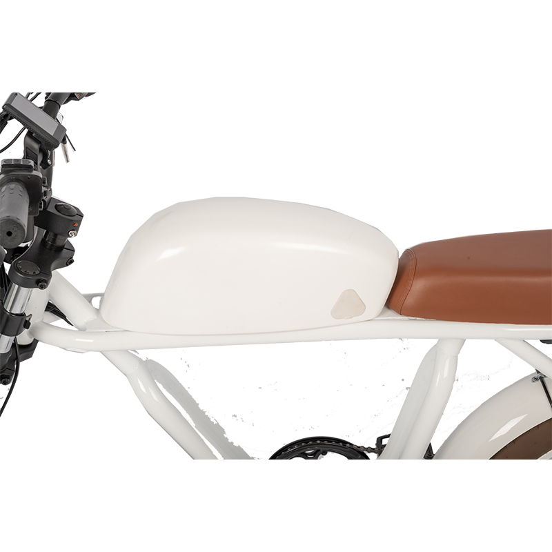 LCD Display Electric Bike with 48V Battery 750W 1000W Motor 7 Speed and Vintage Style
