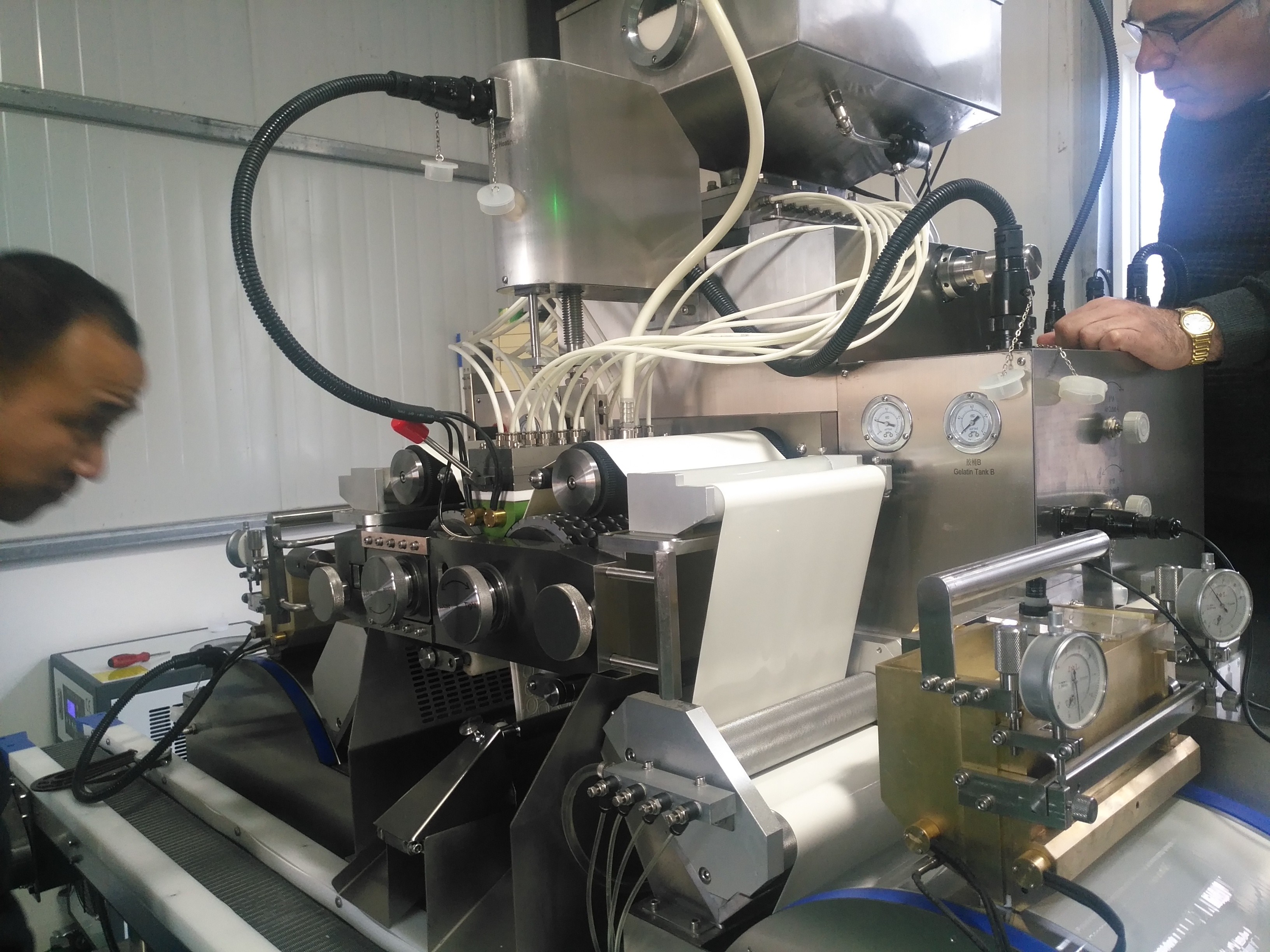 Metal Softgel Encapsulation Machine For Canabis Oil Olive Oil Fish Oil Vegatable