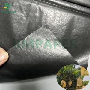 Quality Mango Growing Protection Bag Glossy 30gsm Inner Black Paper Roll Sunproof wholesale