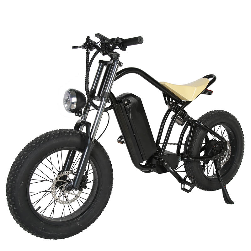 Disc Brake 2023 Style 20" Fat Tire Electric Enduro E-Bike for Off Road MTB Bicycle